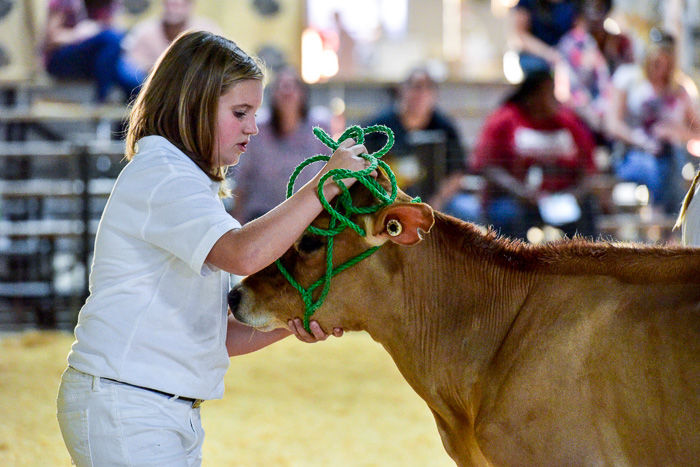 Orangeburg County Fair Dairy Show